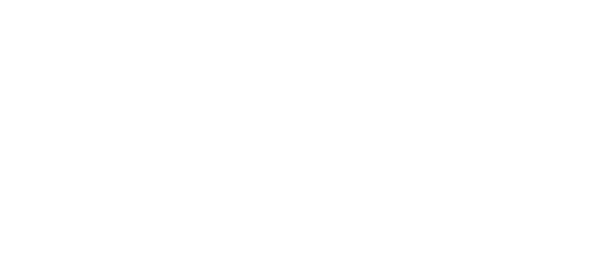 logoImg